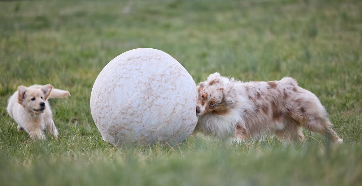 Better Sporting Dogs 25” Heavy Duty Sheep Lookalike Herding Ball for Dogs