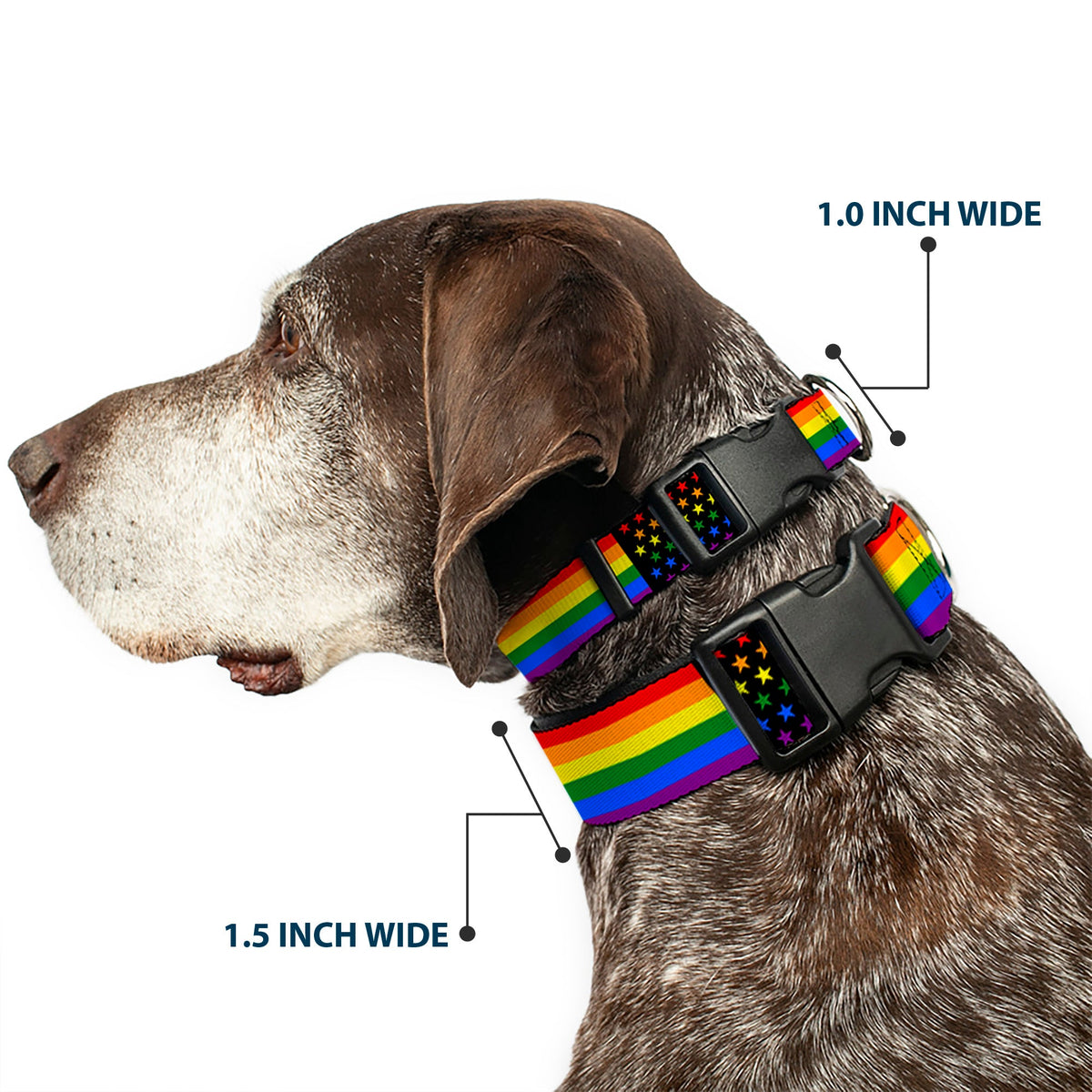 Plastic Clip Collar - Flag American Pride Rainbow/Black