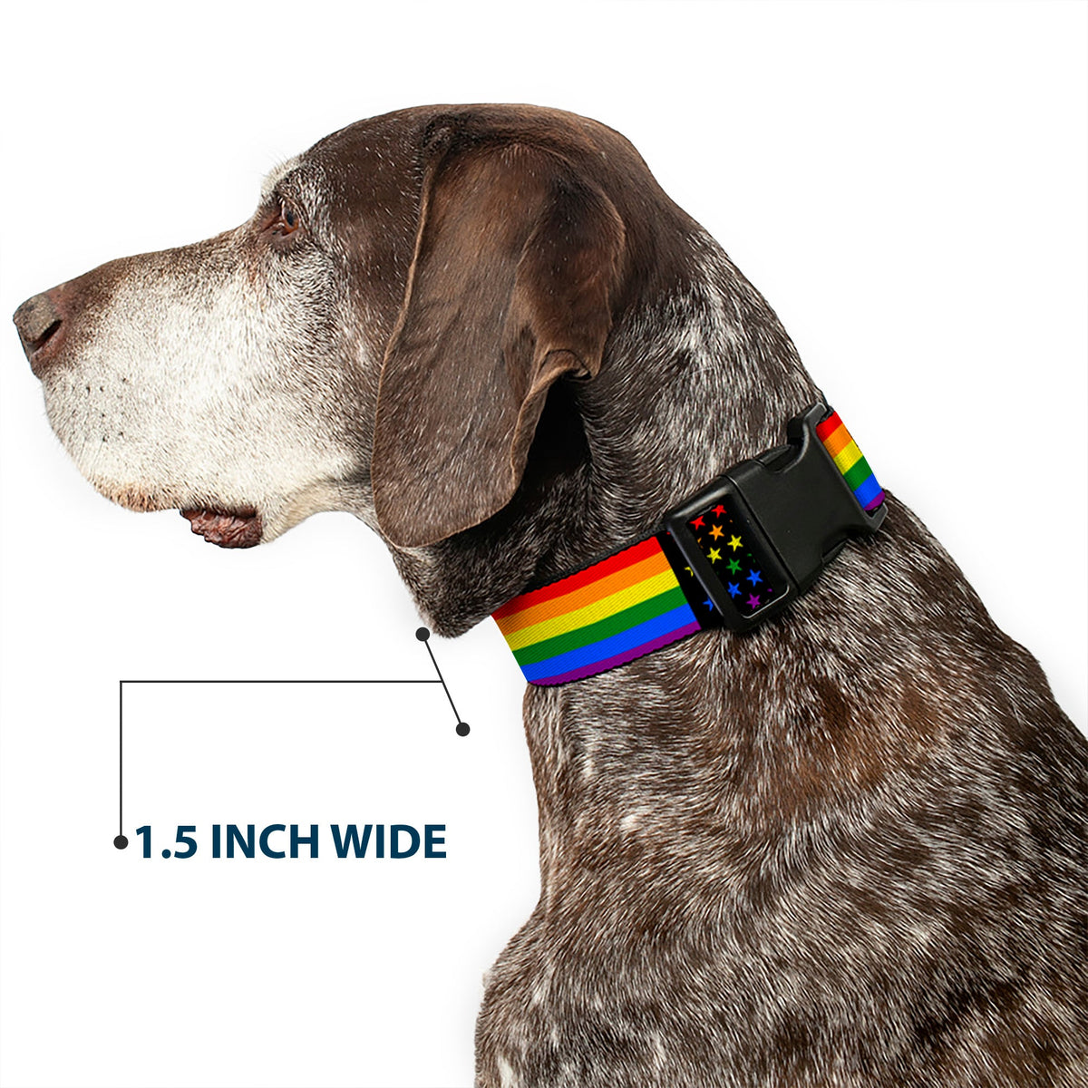 Plastic Clip Collar - Flag American Pride Rainbow/Black