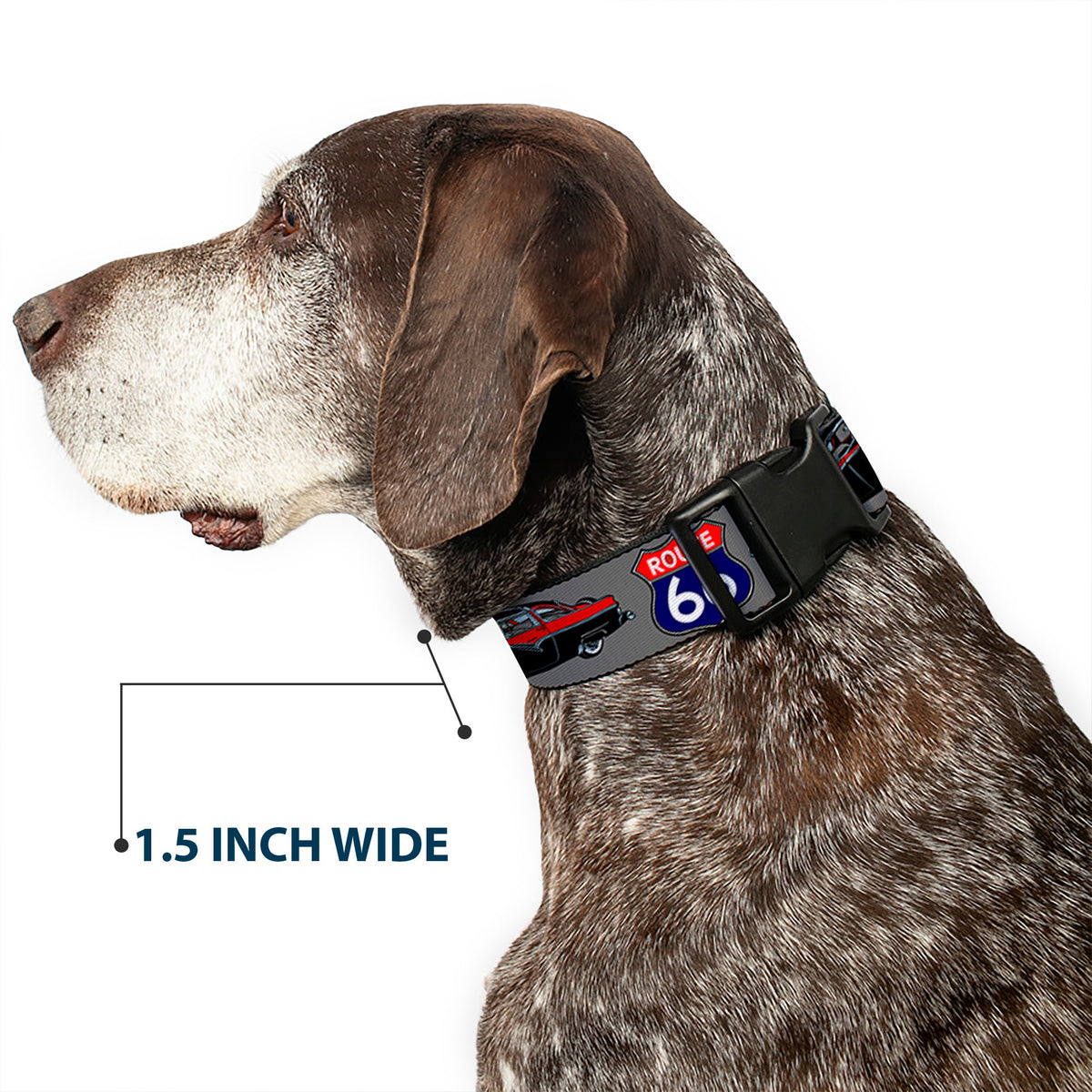 Plastic Clip Collar - Route 66 Classics Gray