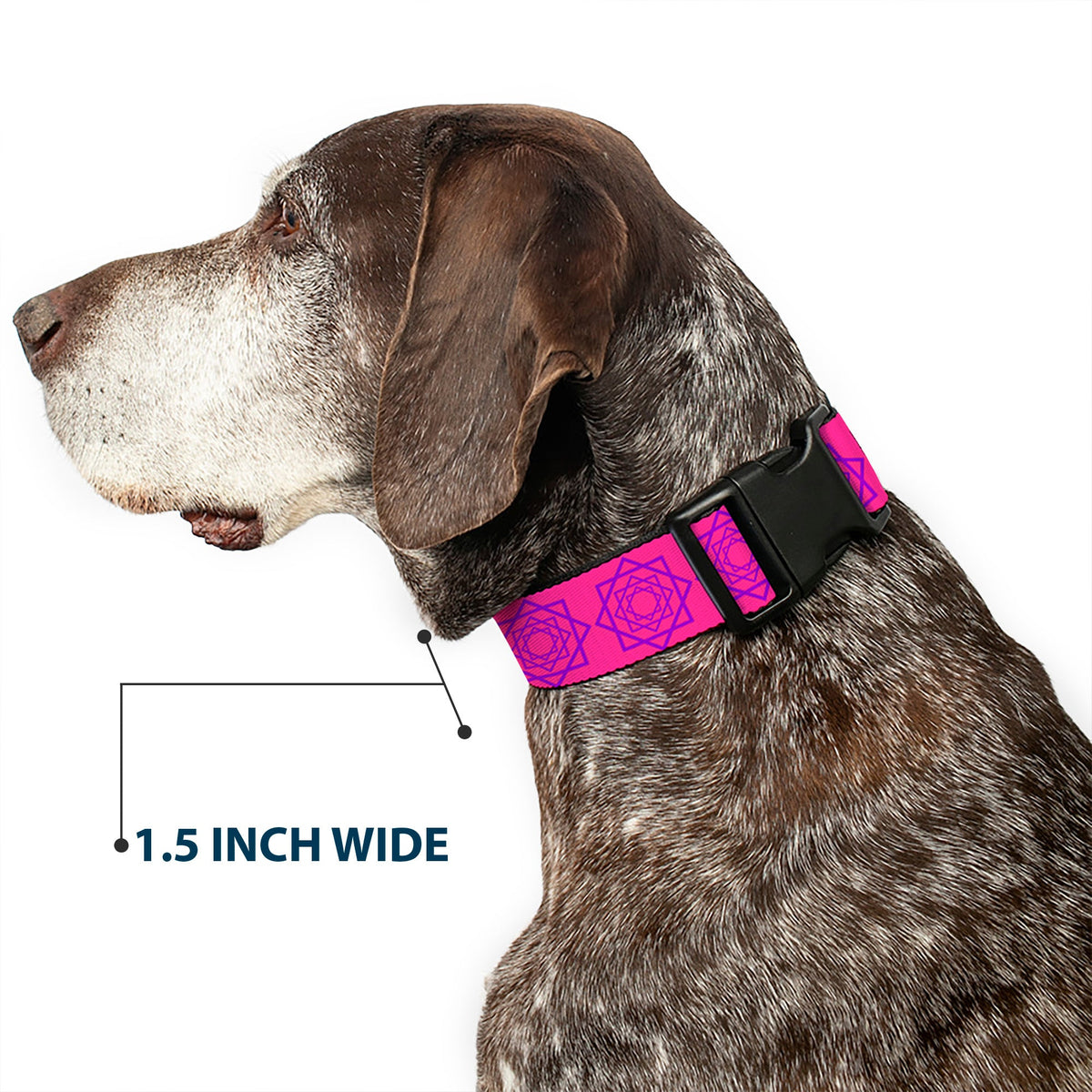 Plastic Clip Collar - Rotating Squares Pink/Purple