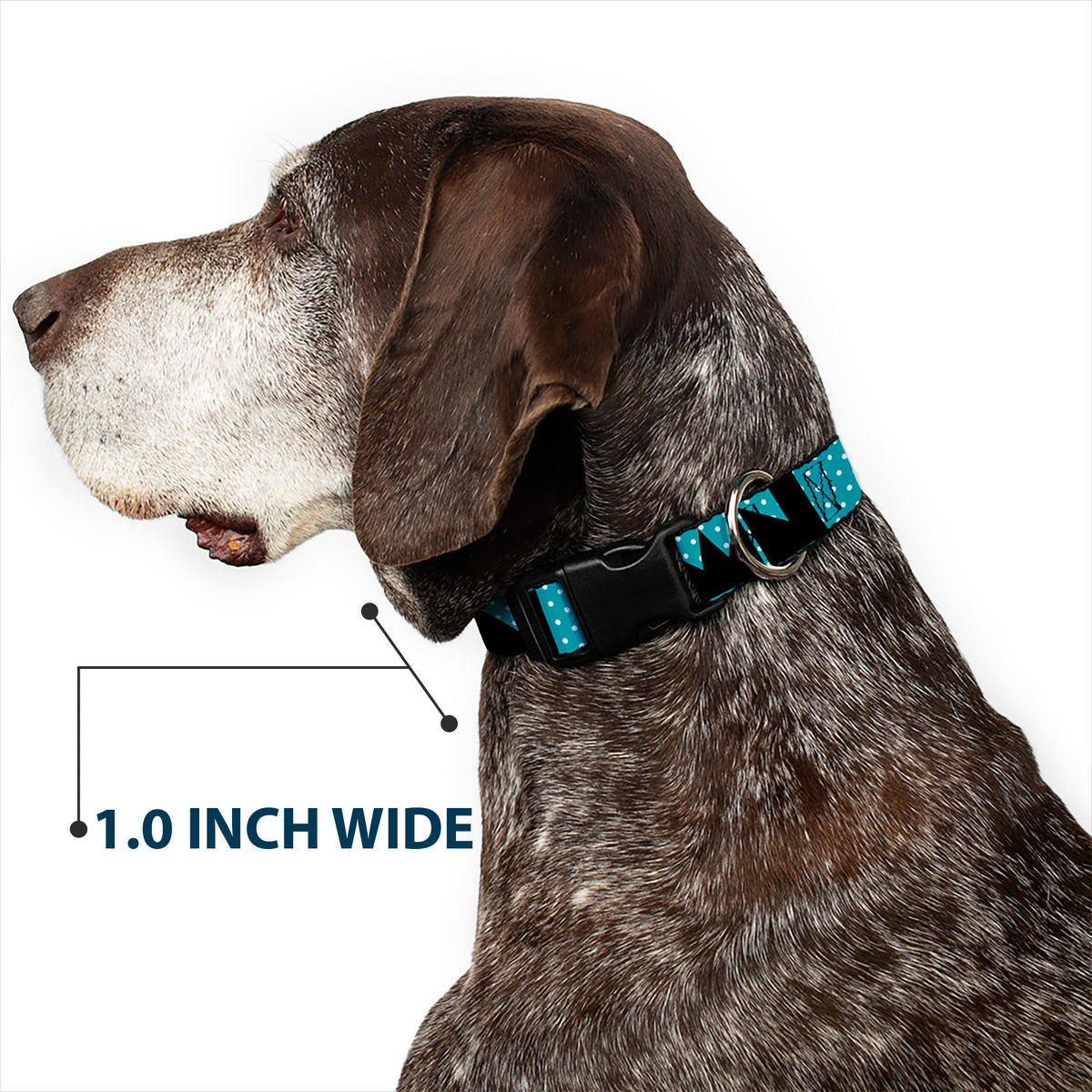 Plastic Clip Collar - BUCKLE-DOWN Shapes Dot Turquoise/White/Black
