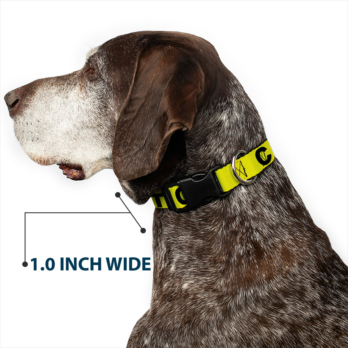 Plastic Clip Collar - CAUTION Yellow/Black