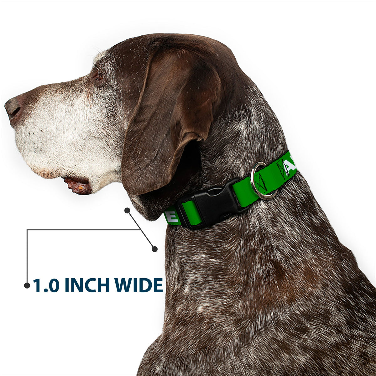 Plastic Clip Collar - Pet Quote ADOPT ME Green/White