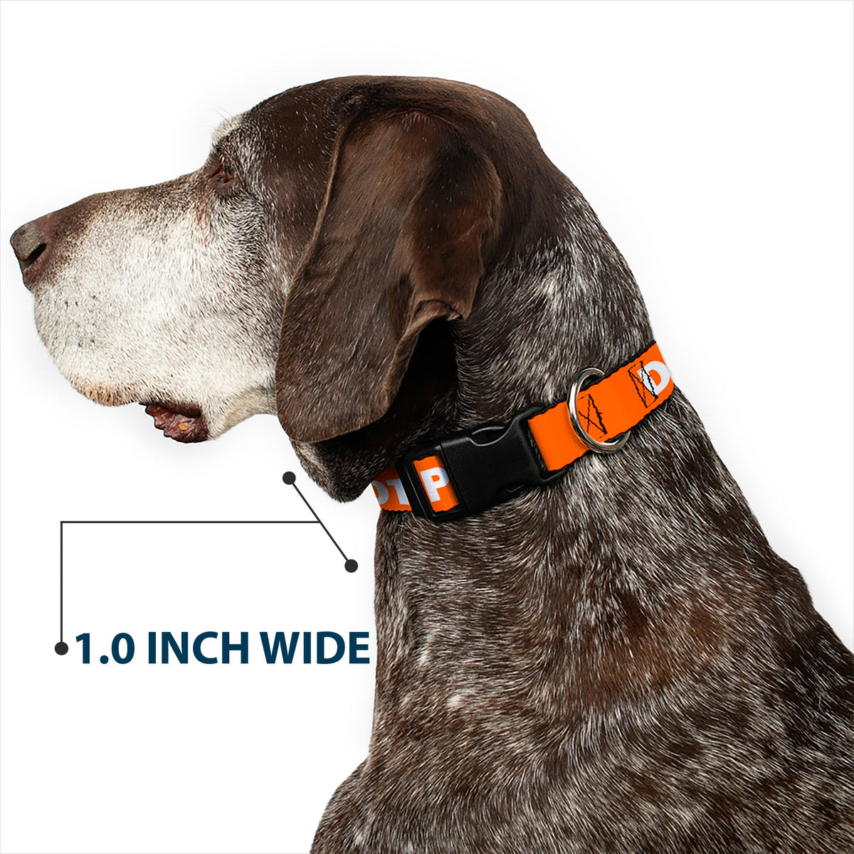 Plastic Clip Collar - Pet Quote DO NOT PET Orange/White