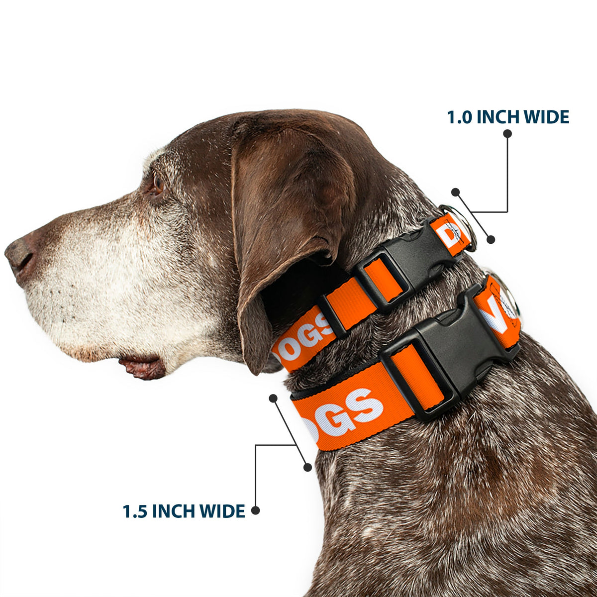 Plastic Clip Collar - Pet Quote NO DOGS Orange/White
