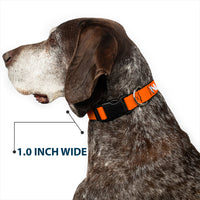 Plastic Clip Collar - Pet Quote NO DOGS Orange/White
