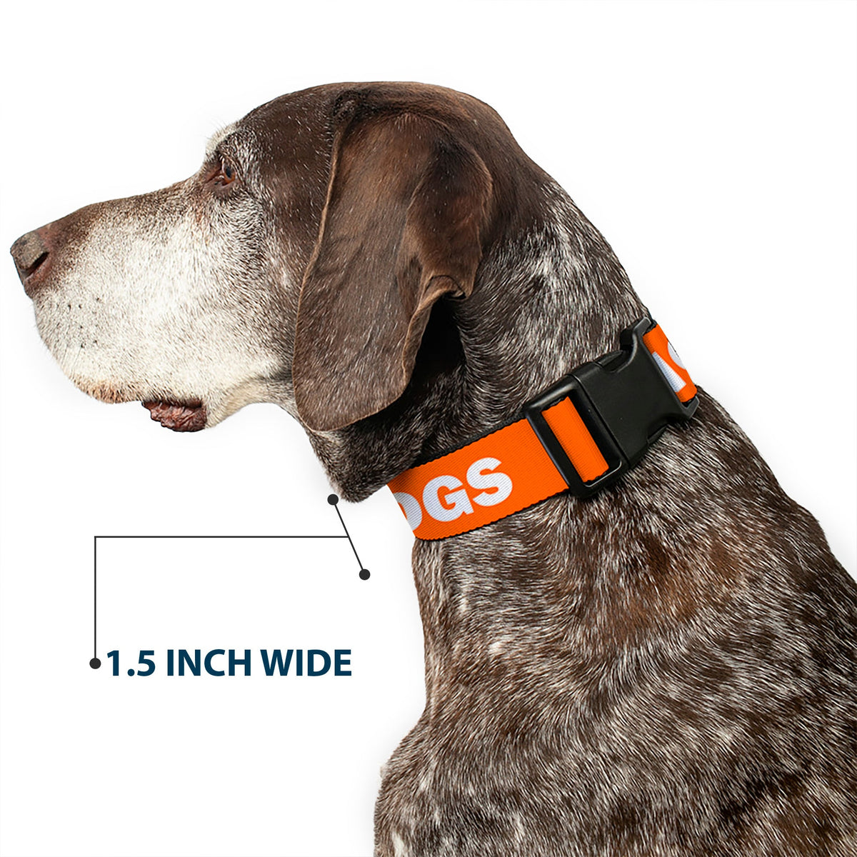 Plastic Clip Collar - Pet Quote NO DOGS Orange/White