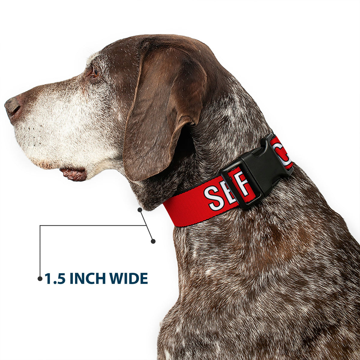 Plastic Clip Collar - SERVICE DOG Red/Black/White