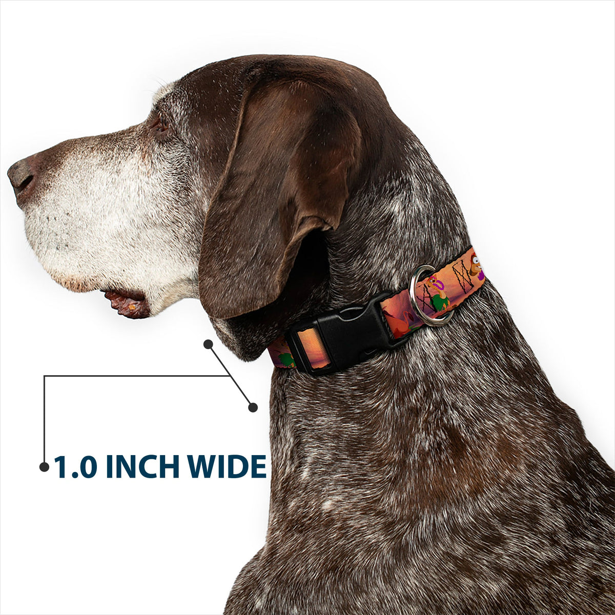 Plastic Clip Collar - Timon & Pumba The Hula Song Poses