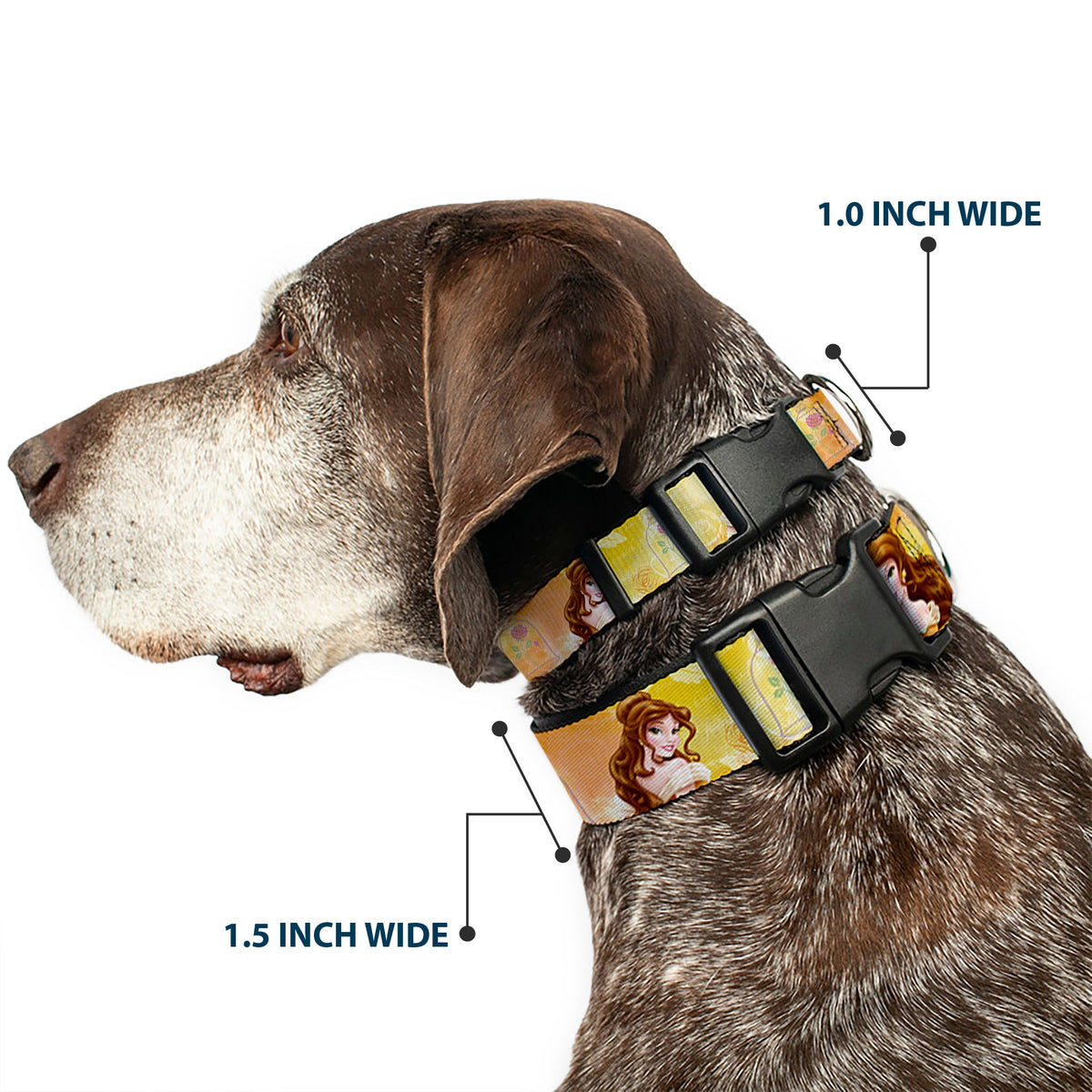 Plastic Clip Collar - Belle Poses/Enchanted Rose/Story Script Yellow/Pinks