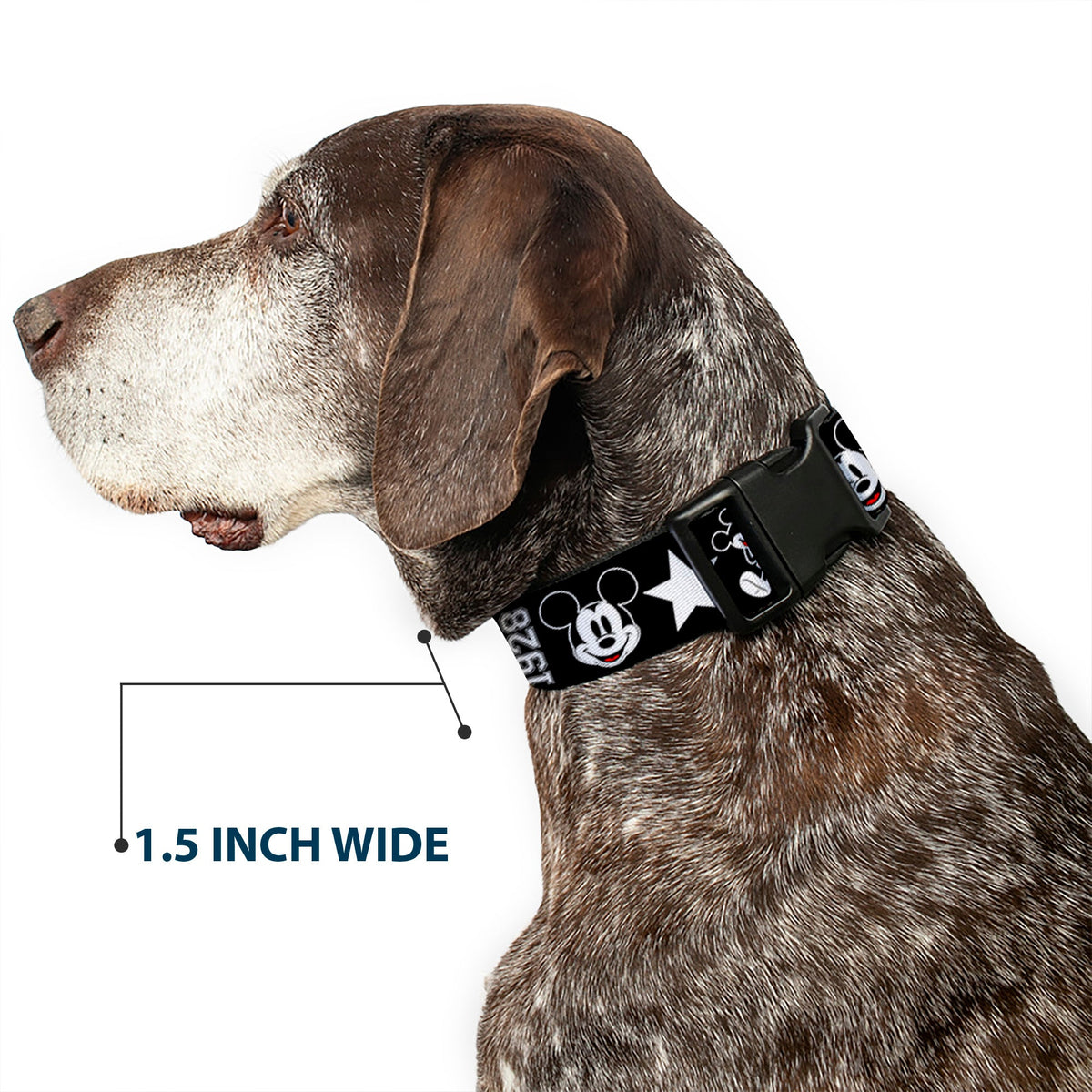 Plastic Clip Collar - Classic Mickey Mouse 1928 Collage Black/White/Red