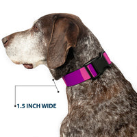 Plastic Clip Collar - Cheshire Cat Stripe Pink/Purple