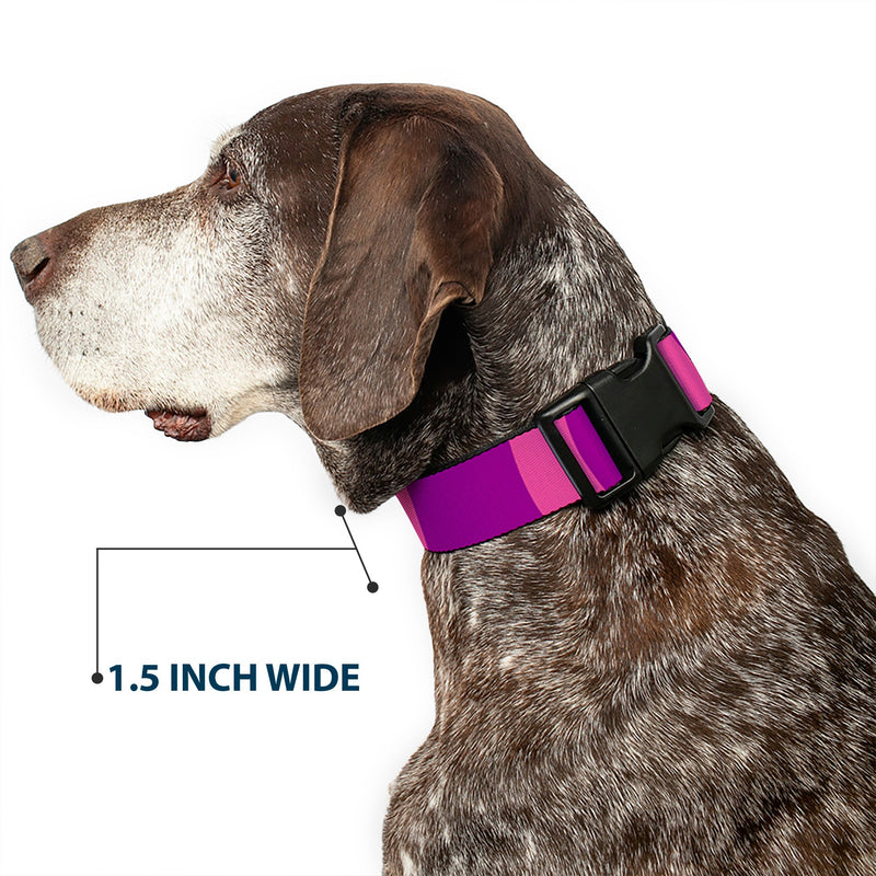 Plastic Clip Collar - Cheshire Cat Stripe Pink/Purple