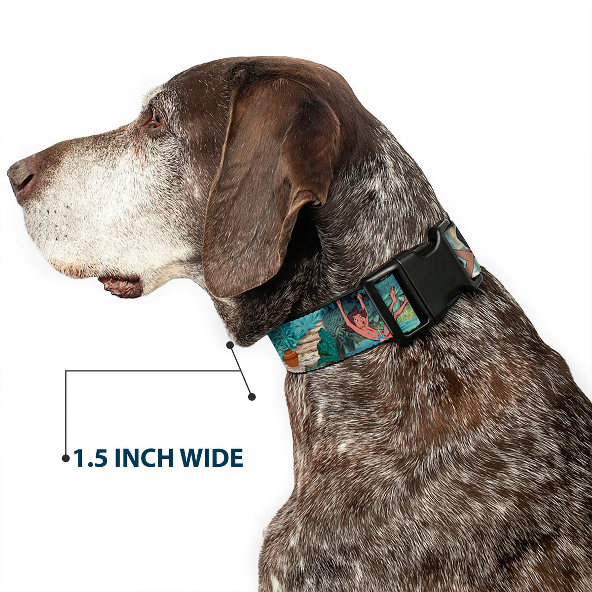 Plastic Clip Collar - The Jungle Book Scenes