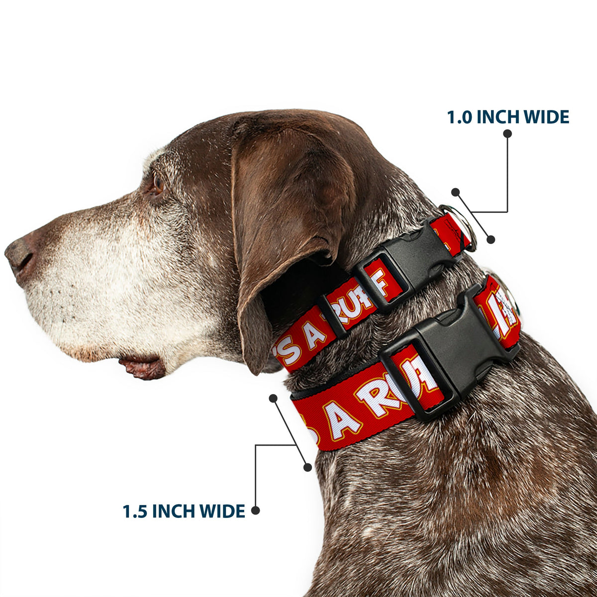 Plastic Clip Collar - Pluto 2-Pose IT'S A RUFF LIFE Red/Yellow/White