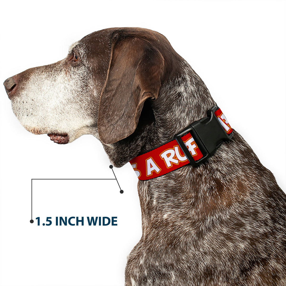 Plastic Clip Collar - Pluto 2-Pose IT'S A RUFF LIFE Red/Yellow/White