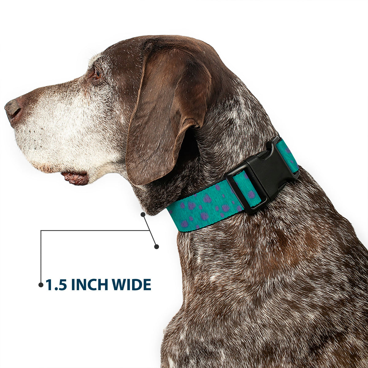 Plastic Clip Collar - Monsters Inc. Sulley Bounding Spots Blue/Purple