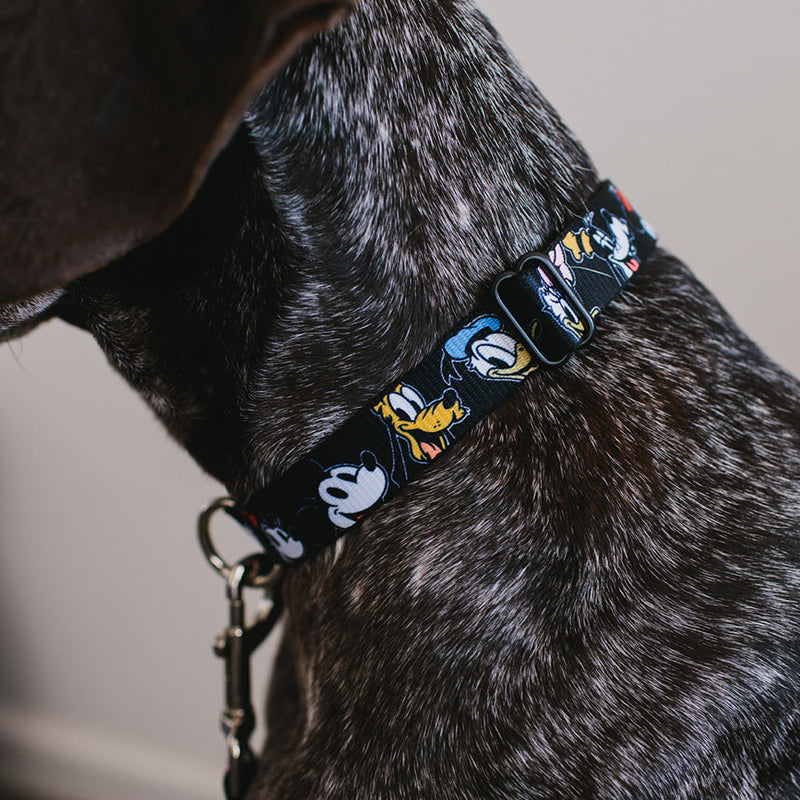 Plastic Clip Collar - Disney The Sensational Six Smiling Faces Black