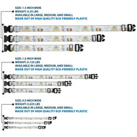 Plastic Clip Collar - Cinderella Pumpkin Coach and Mice Pose with Script White/Blues