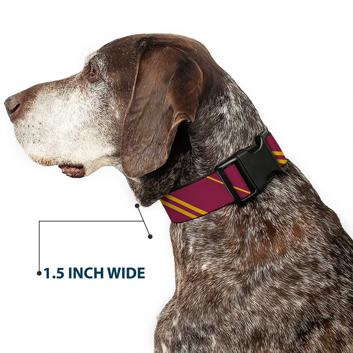 Plastic Clip Collar - GRYFFINDOR Crest/Stripe Burgundy/Gold