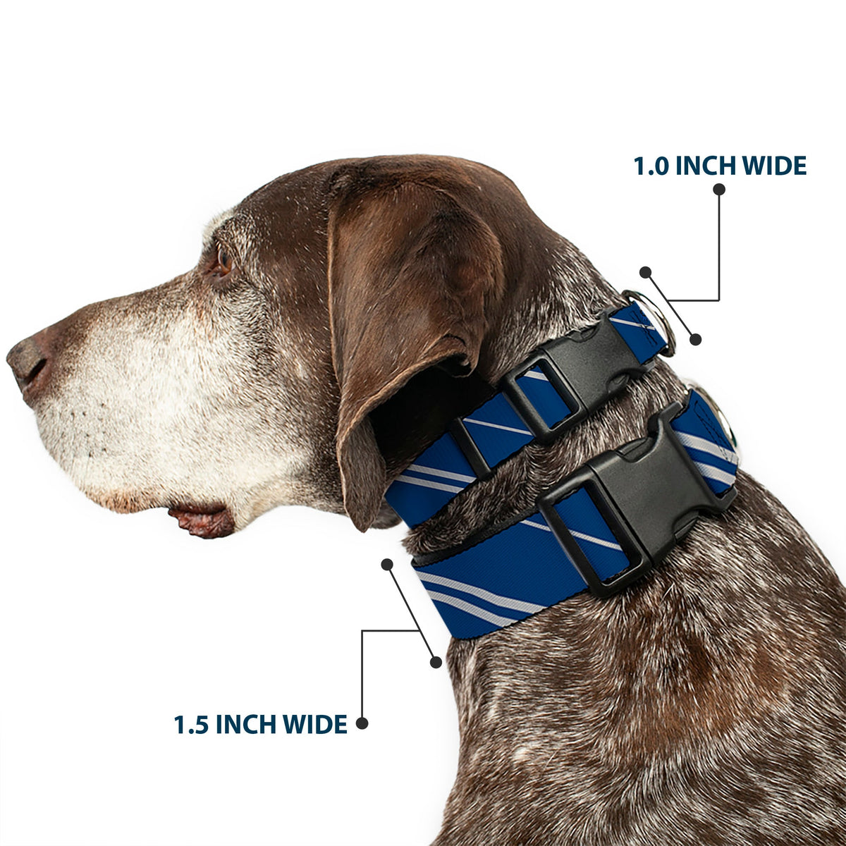 Plastic Clip Collar - RAVENCLAW Crest/Stripe Blue/Gray