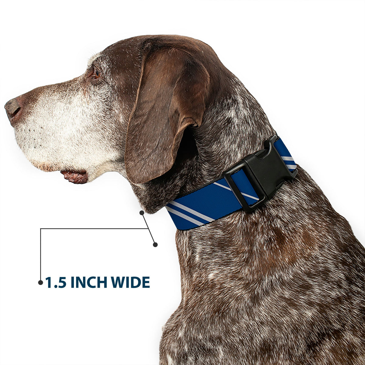 Plastic Clip Collar - RAVENCLAW Crest/Stripe Blue/Gray