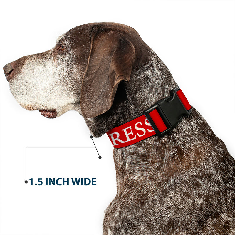 Plastic Clip Collar - HOGWARTS EXPRESS 9¾ Red/White
