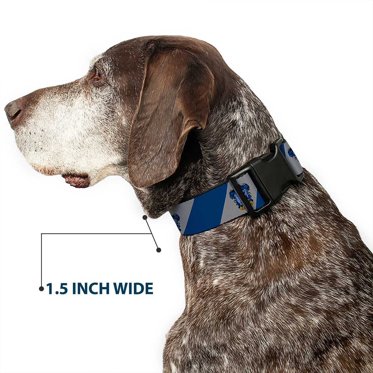 Plastic Clip Collar - RAVENCLAW Crest Diagonal Stripe Gray/Blue