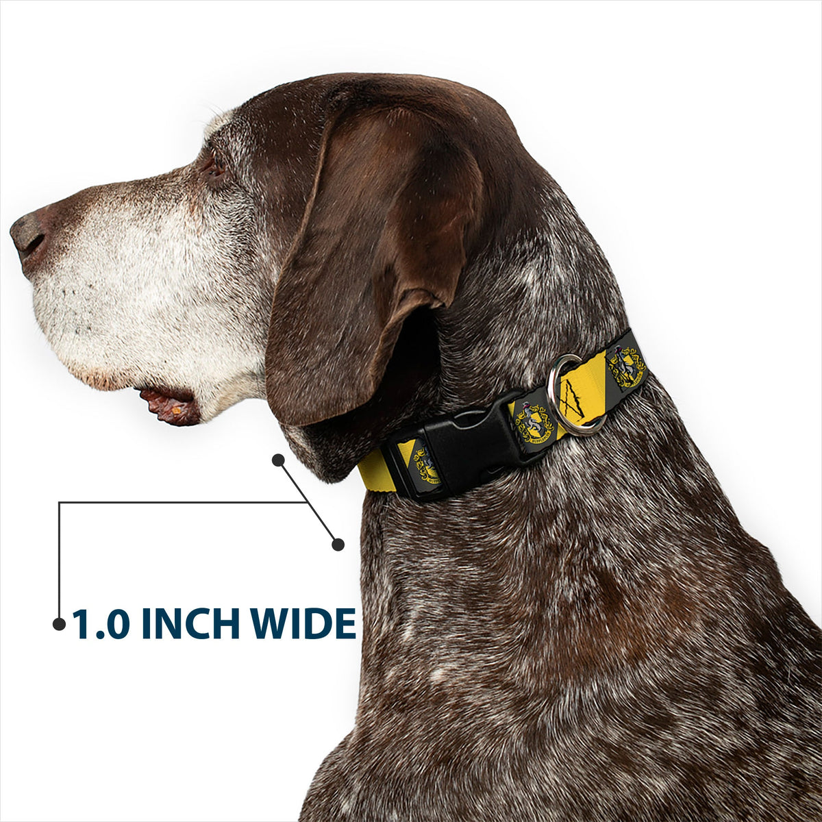Plastic Clip Collar - HUFFLEPUFF Crest Diagonal Stripe Charcoal Gray/Yellow