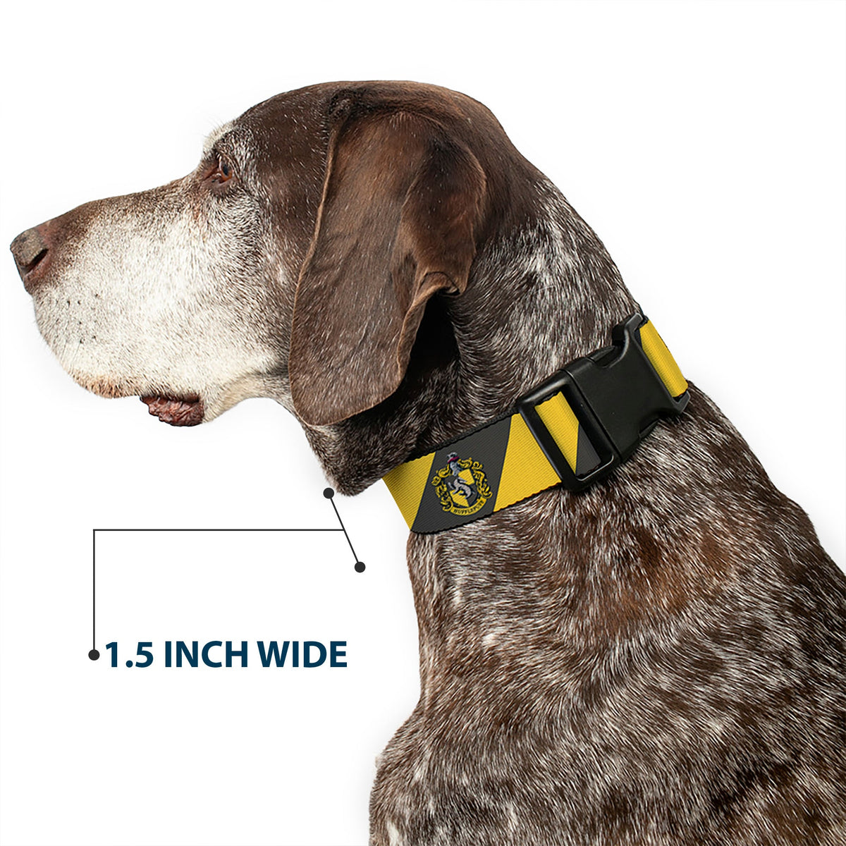 Plastic Clip Collar - HUFFLEPUFF Crest Diagonal Stripe Charcoal Gray/Yellow