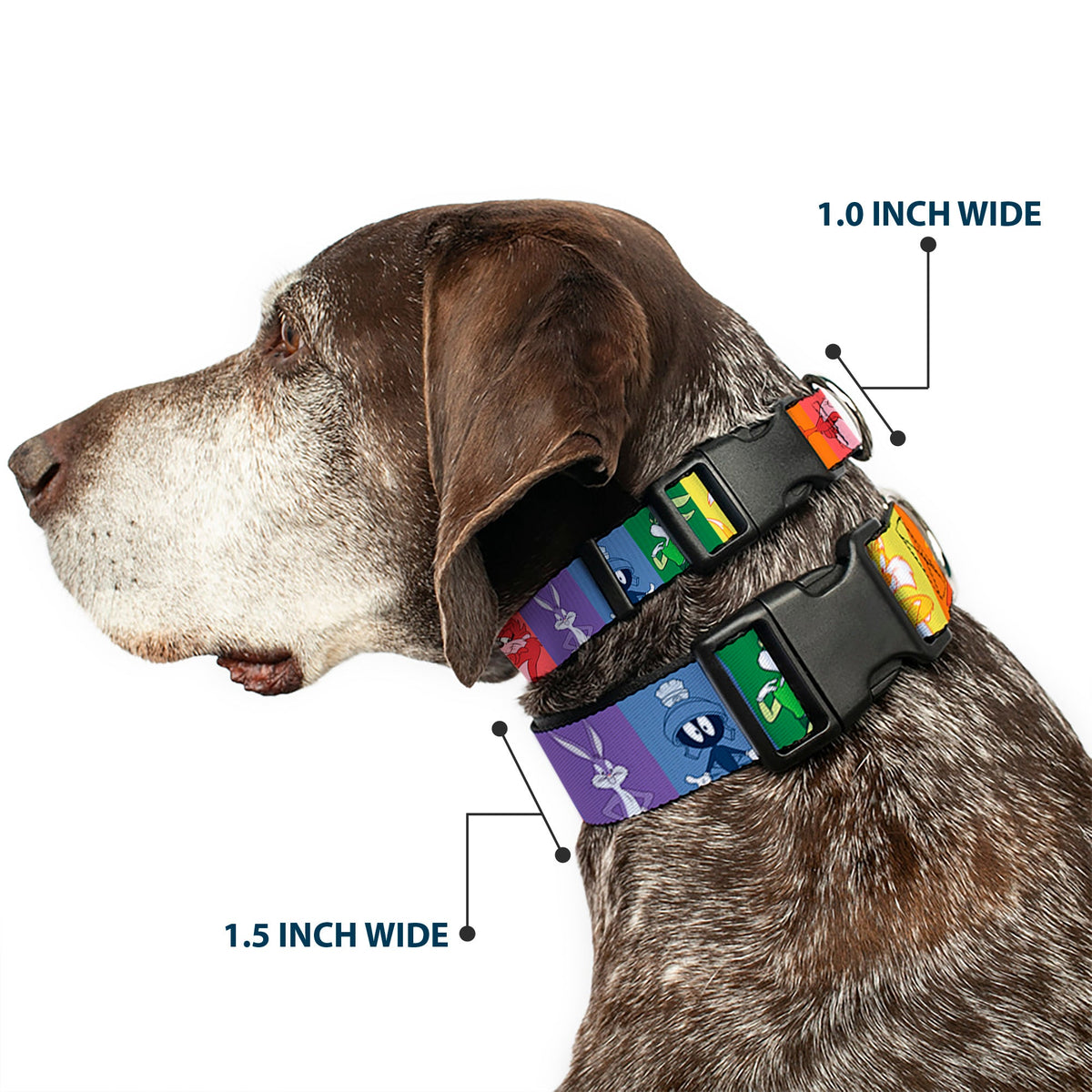 Plastic Clip Collar - Looney Tunes 6-Character Pose Pride Blocks Multi Color