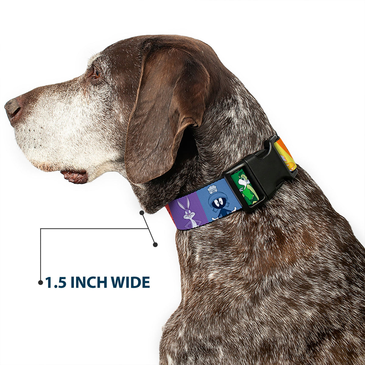 Plastic Clip Collar - Looney Tunes 6-Character Pose Pride Blocks Multi Color