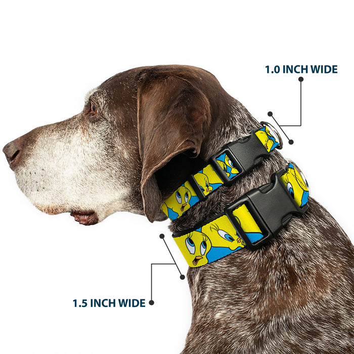 Plastic Clip Collar - Tweety Bird CLOSE-UP Expressions Baby Blue
