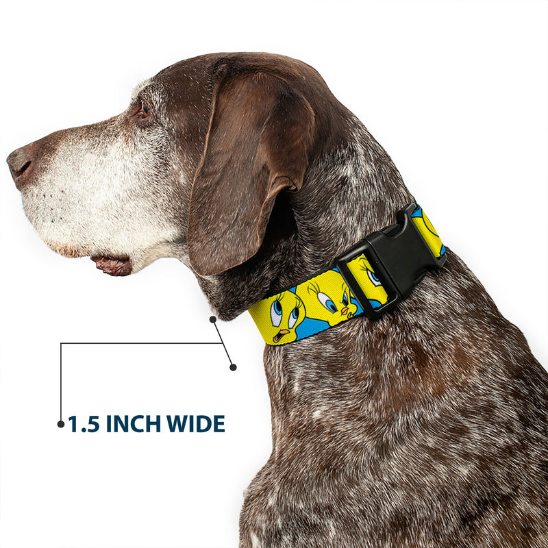 Plastic Clip Collar - Tweety Bird CLOSE-UP Expressions Baby Blue