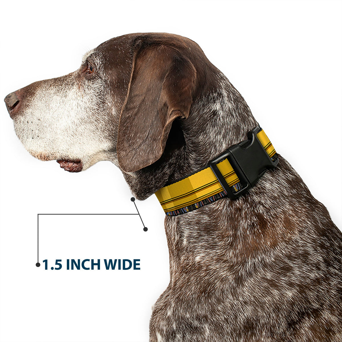 Plastic Clip Collar - Star Wars C3-PO Wires Bounding2 Yellows/Black/Multi Color
