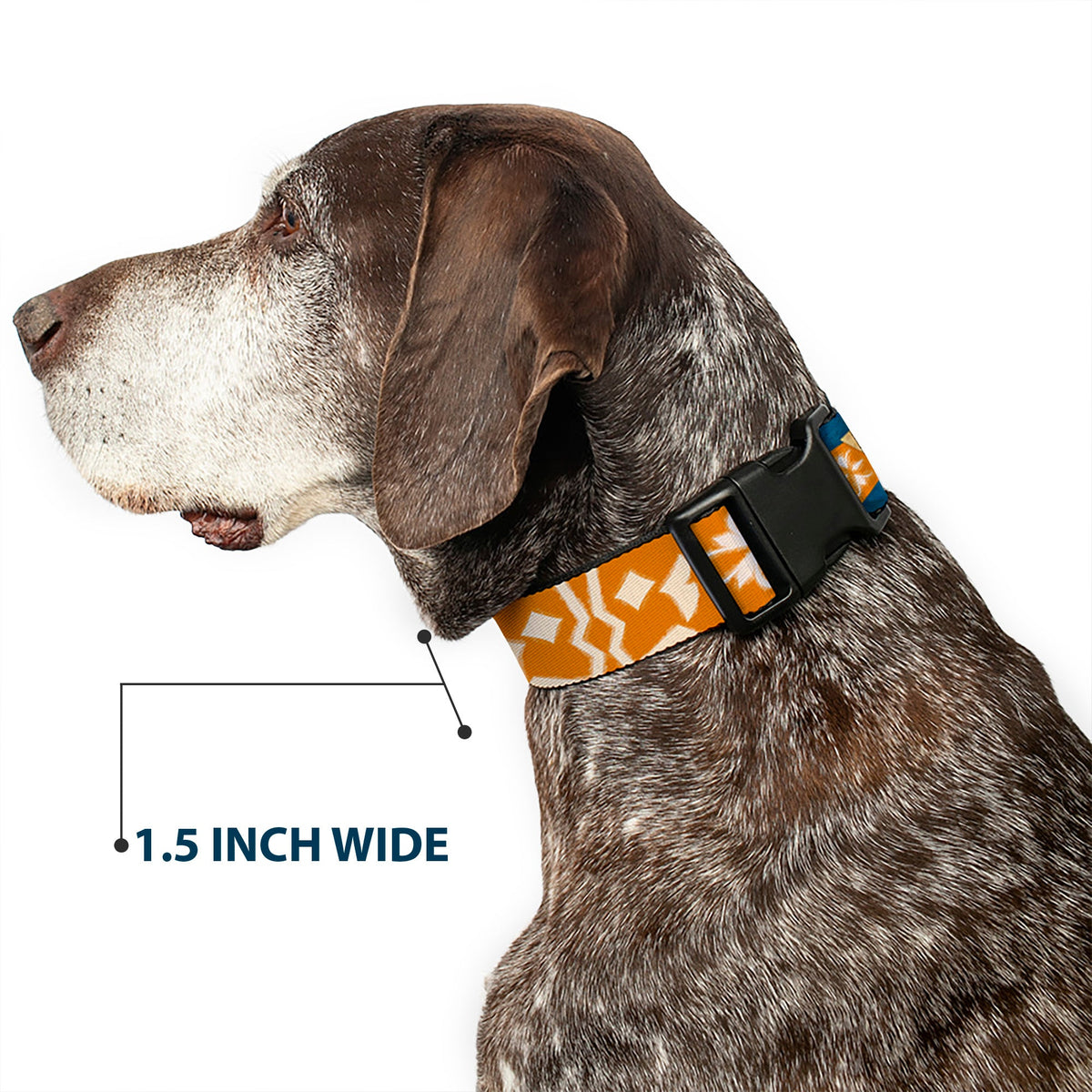 Plastic Clip Collar - Star Wars Clone Wars Ahsoka Tano Bounding Elements Blues/Orange