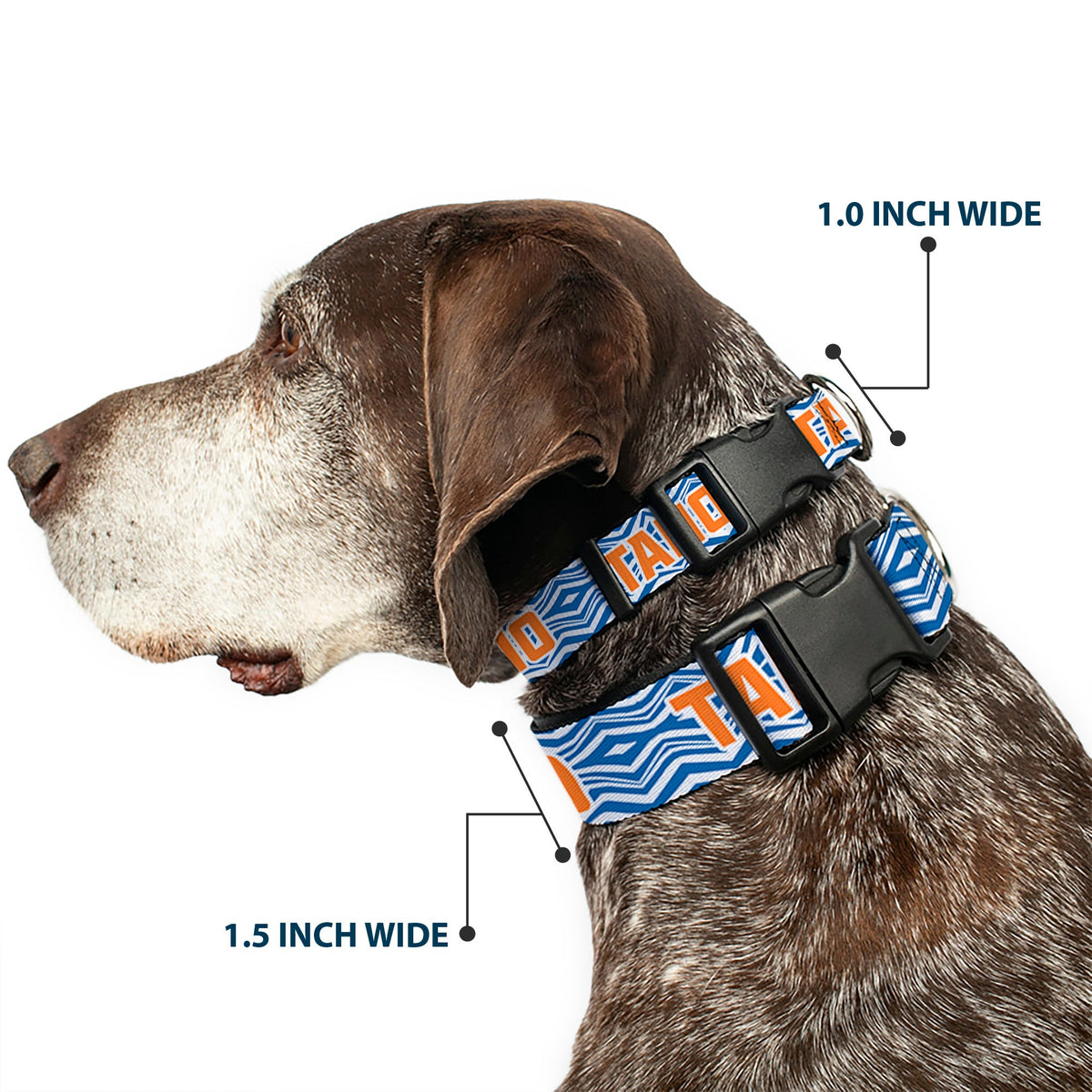 Plastic Clip Collar - Star Wars The Clone Wars Ahsoka TANO Text Waves White/Blue/Orange