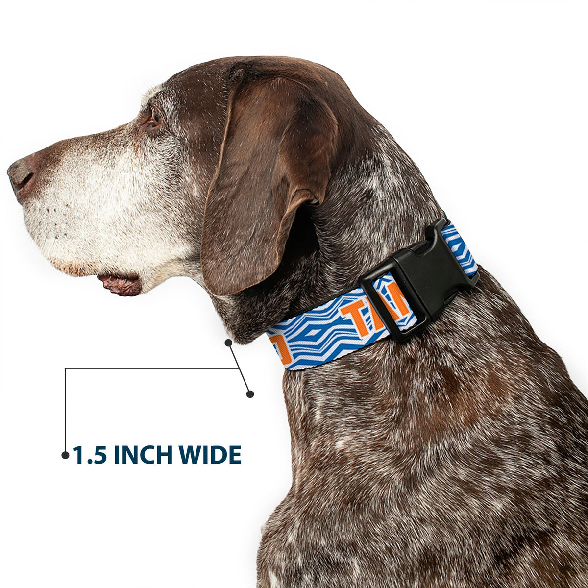 Plastic Clip Collar - Star Wars The Clone Wars Ahsoka TANO Text Waves White/Blue/Orange