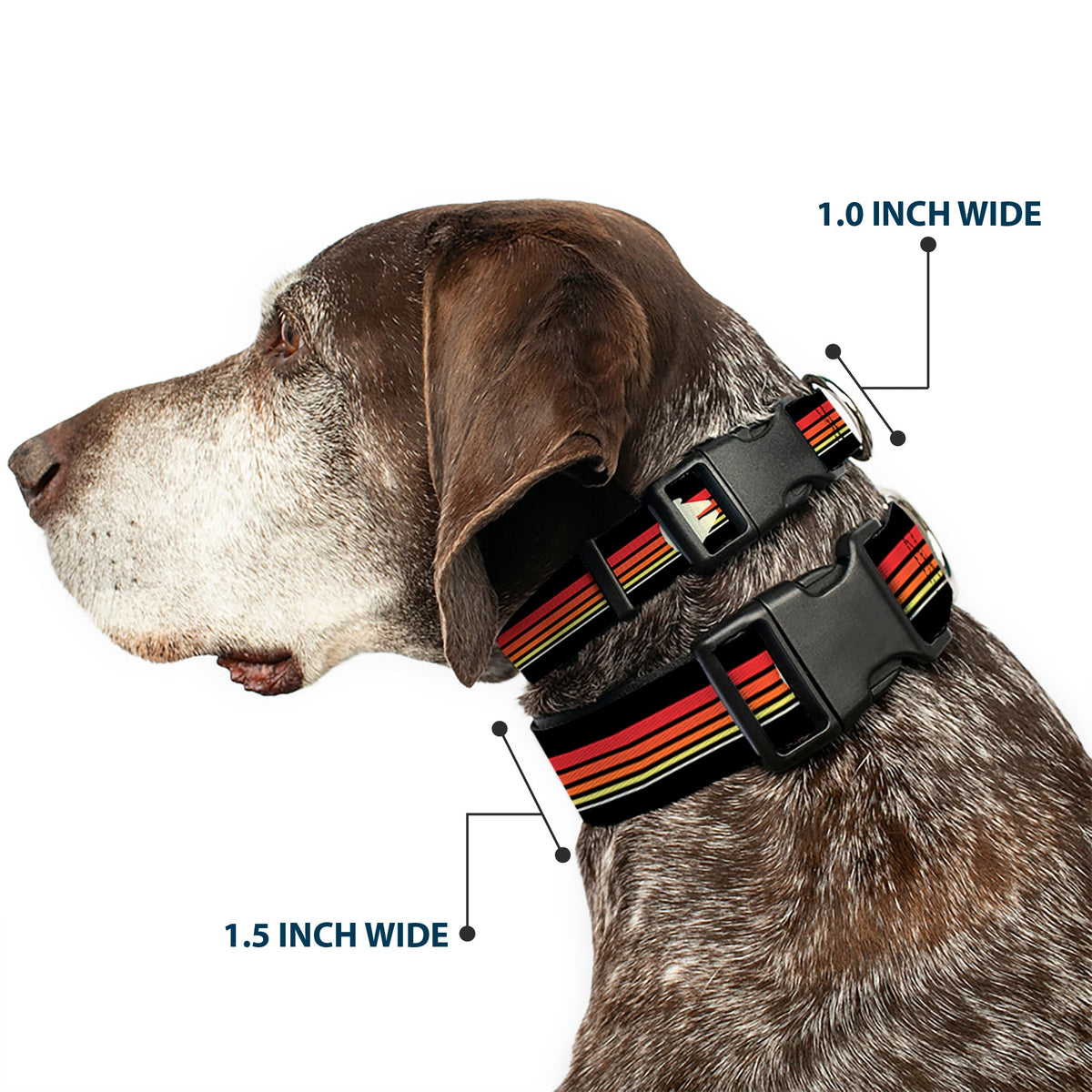 Plastic Clip Collar - Star Wars Millennium Falcon Stripe Black/Multi Color