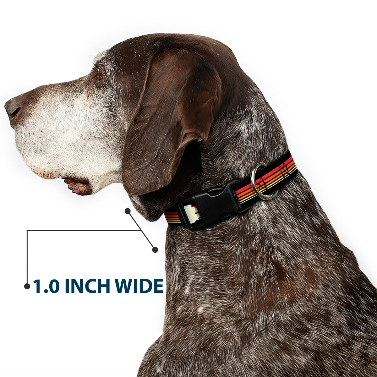 Plastic Clip Collar - Star Wars Millennium Falcon Stripe Black/Multi Color