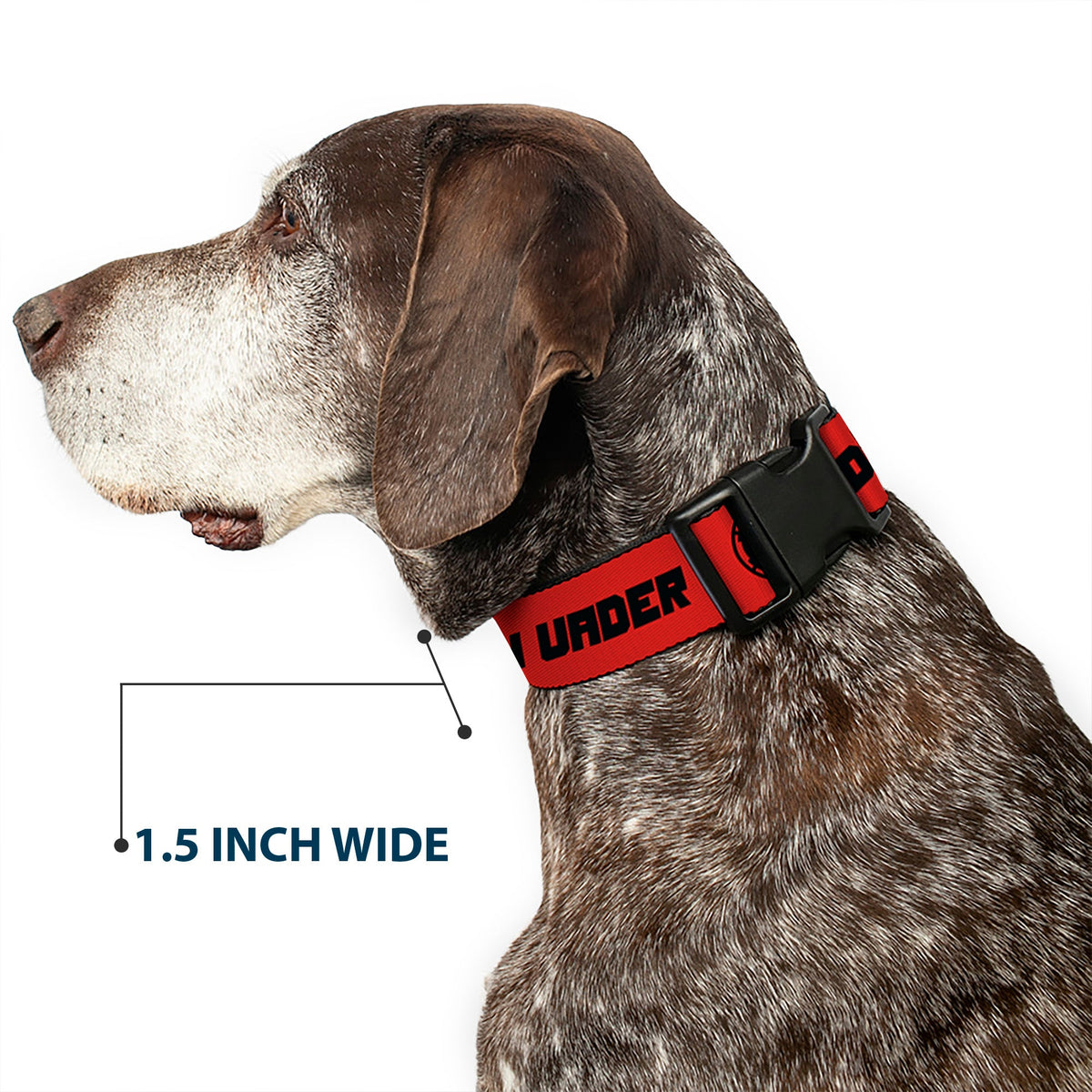 Plastic Clip Collar - Star Wars DARTH VADER Text and Galactic Empire Logo Red/Black