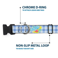 Plastic Clip Collar - THE WIZARD OF OZ Logo Gingham Checker Blues