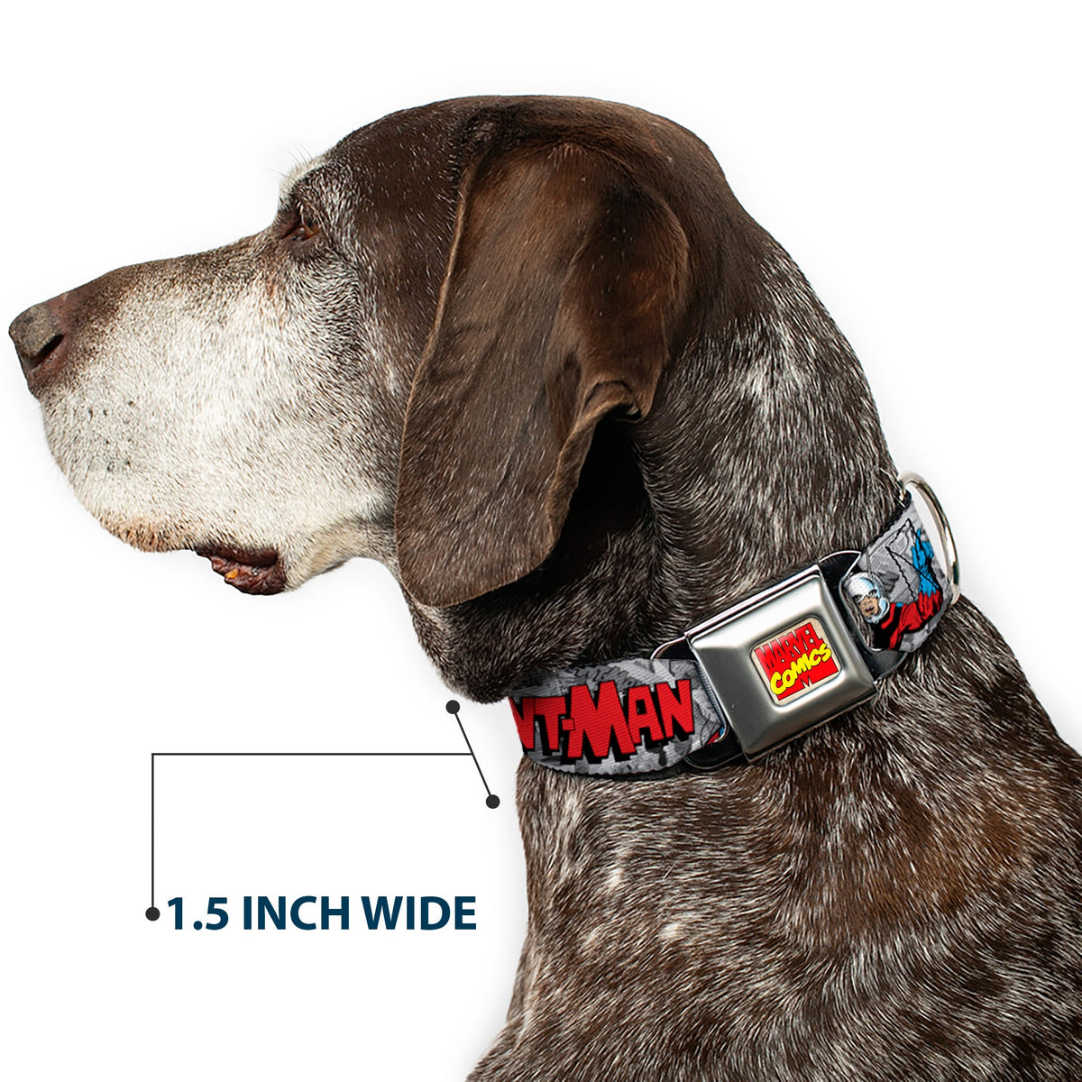 Marvel Comics Logo Full Color Seatbelt Buckle Collar - Classic ANT-MAN 3-Poses/Comic Stacked Grays/Black/Red