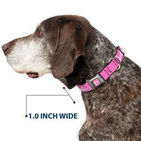 BARBIE Script Signature Full Color Pink/White Seatbelt Buckle Collar - BARBIE Script Signature Logo Pink/White