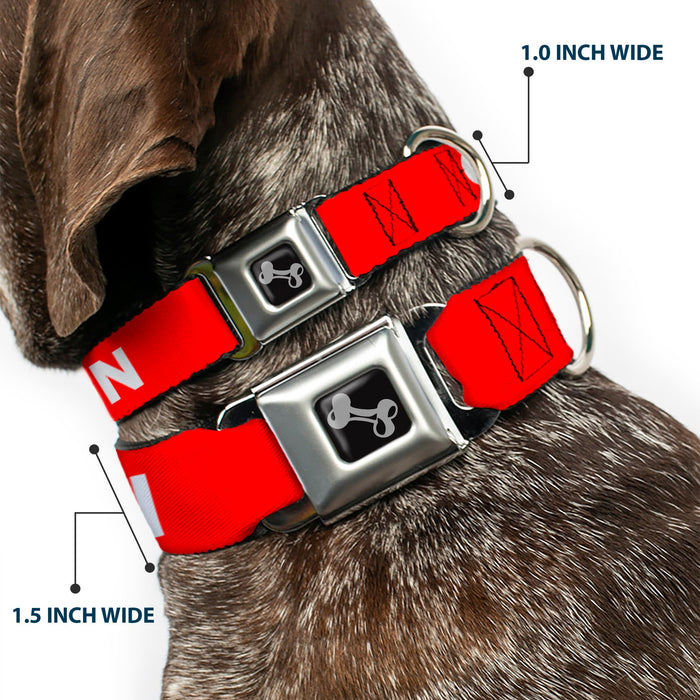 Dog Bone Black/Silver Seatbelt Buckle Collar - Pet Quote CAUTION Red/White