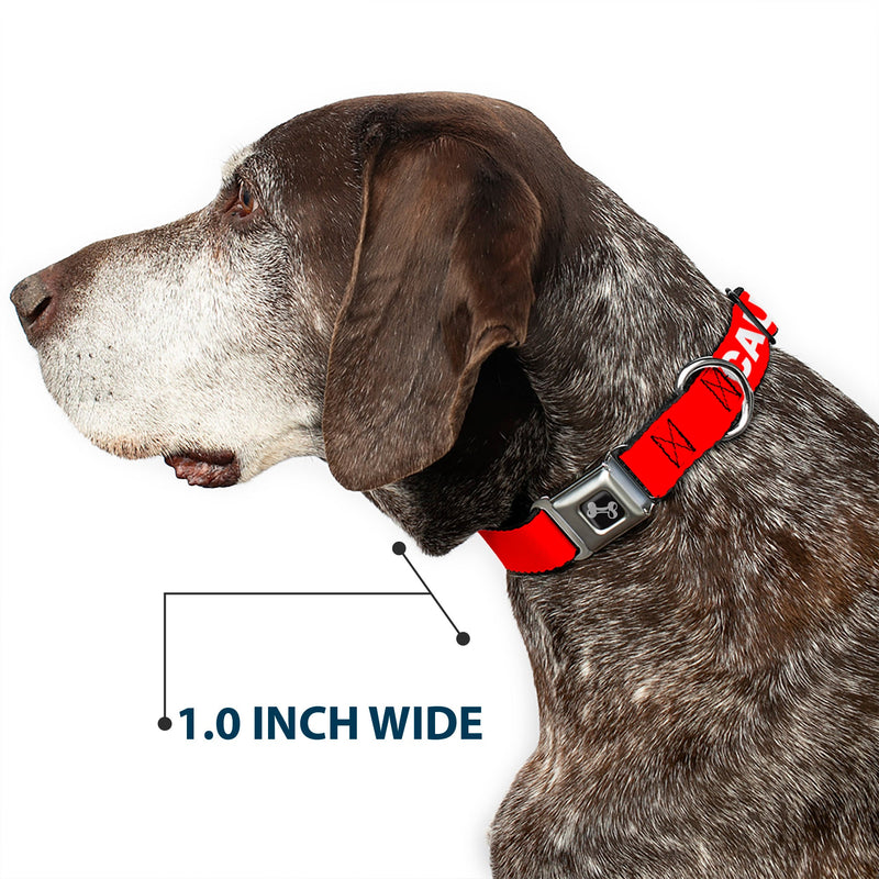 Dog Bone Black/Silver Seatbelt Buckle Collar - Pet Quote CAUTION Red/White