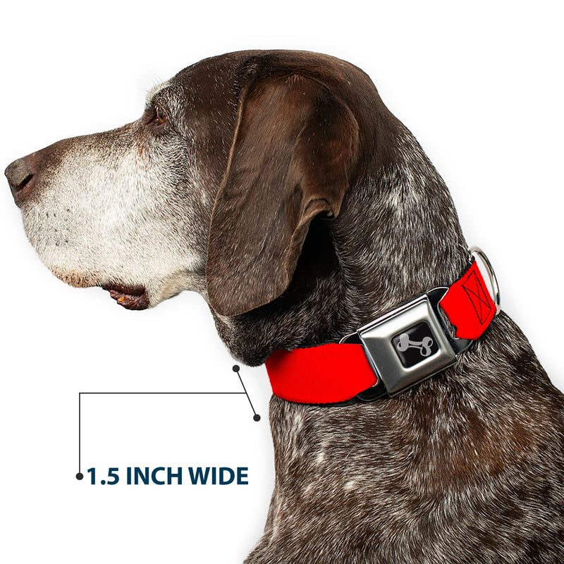 Dog Bone Black/Silver Seatbelt Buckle Collar - Pet Quote CAUTION Red/White
