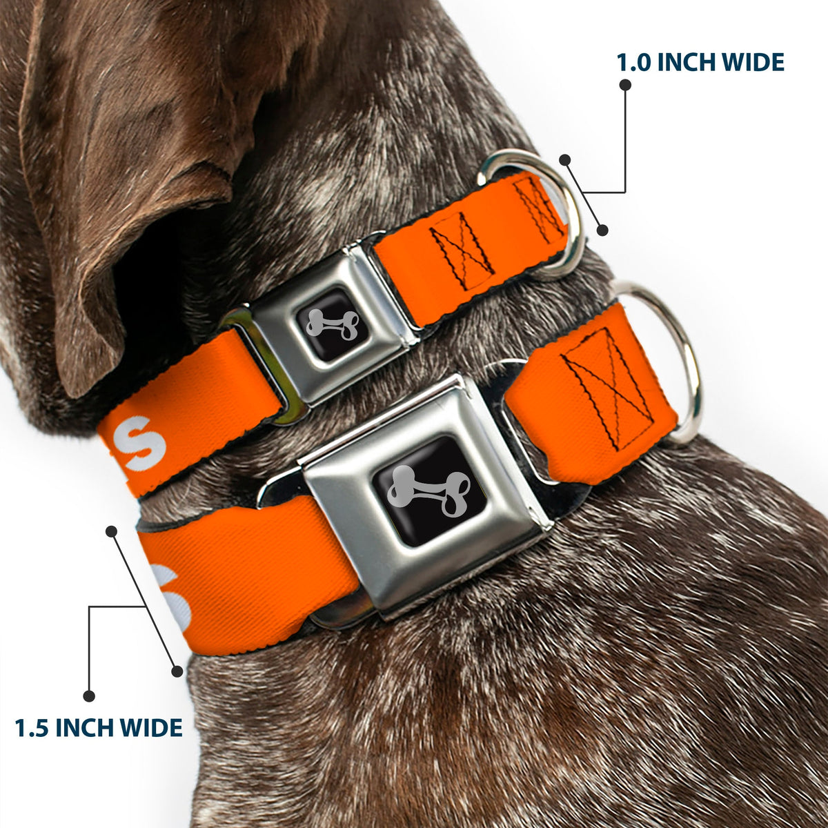 Dog Bone Black/Silver Seatbelt Buckle Collar - Pet Quote NO DOGS Orange/White