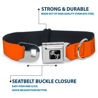 Dog Bone Black/Silver Seatbelt Buckle Collar - Pet Quote NO DOGS Orange/White